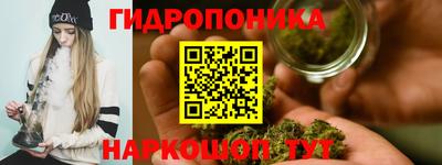 индика Северобайкальск