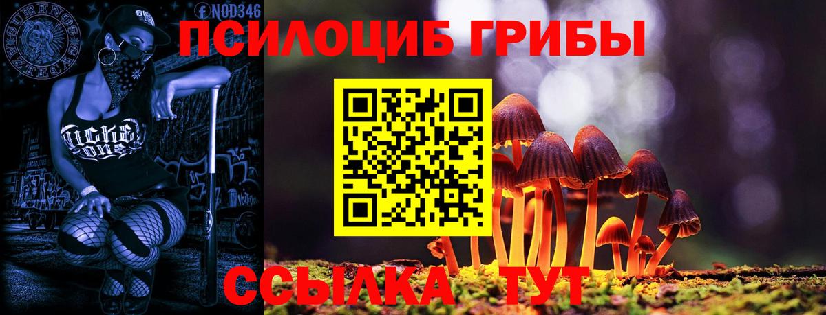Псилоцибиновые грибы Cubensis  Вход с VPN  Асино 